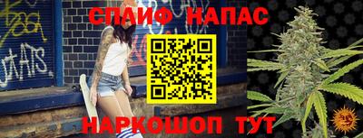 крисы Будённовск
