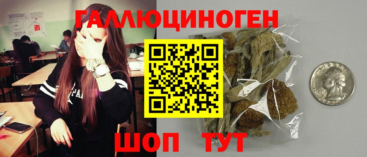 Псилоцибиновые грибы Cubensis Озёры